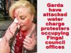 garda_attach_council_occupation_apr13_2015.jpg
