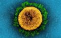 virus_img.jpg