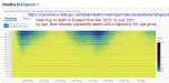 heatmap_deaths_england_by_date_and_age_group.jpg