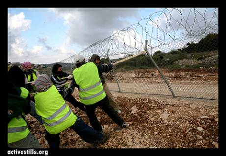 Click on image to see full-sized version Activists Pull Down Settlement Fence in Beit Ommar, Palestine