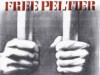 freepeltierbars_small.jpg