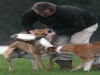 The Gentle Side to Bloodsports in Ireland!