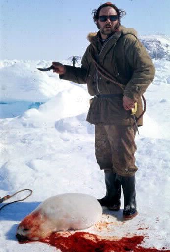 Click on image to see full-sized version Seal killings- due to mans ggreed.