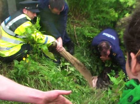Click on image to see full-sized version Pushing people into ditches then arresting them