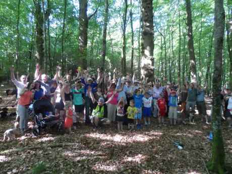 Click on image to see full-sized version forest1.jpg