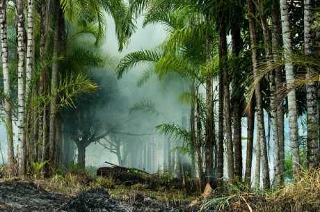 Mato Grosso, Brazil – Photo by Icaro Cooke Vieira/CIFOR cifor.orgCC BY-NC-ND 2.0