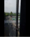 irish_couple_escape_red_cow_in_quarantine_pic1.jpg