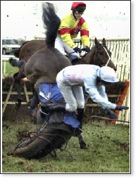 Irish animal rights group calls for ban on horse racing.  SIGN PLEASE to help AFAR  end horseracing
