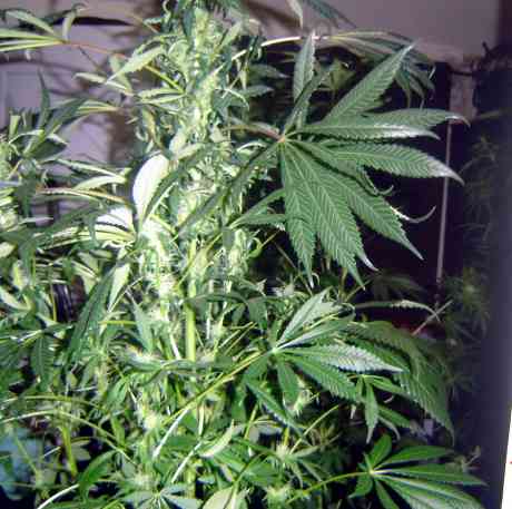 dsc00058_edited.jpg