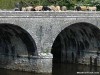 The Navan Clonsilla Boyne Viaduct - nowadays only used by cattle