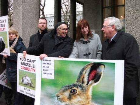 Click on image to see full-sized version Campaigning to have the gentle hare protected...